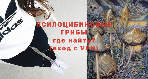 меф Арсеньев
