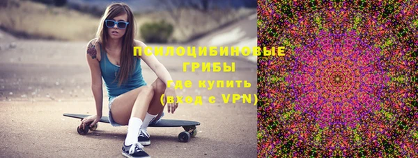 меф Арсеньев