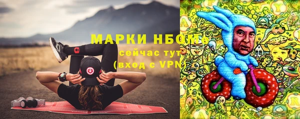 сатива Армянск