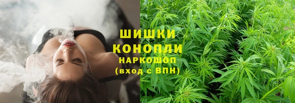 меф Арсеньев