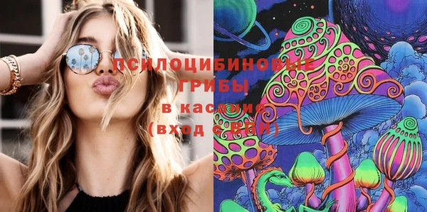 кокс Аркадак