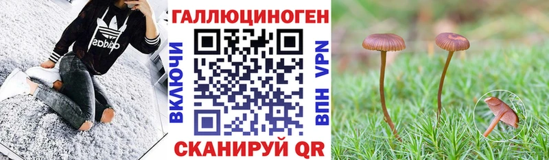 Галлюциногенные грибы GOLDEN TEACHER Чернушка